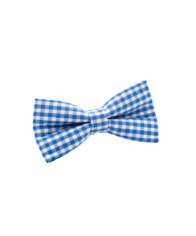 Papion elegant